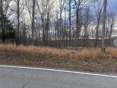 Lake Access & no HOA fees! Over 3/4 acre and close to marinas - photo 3