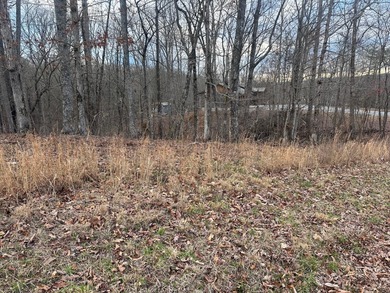 Lake Access & no HOA fees! Over 3/4 acre and close to marinas - photo 5