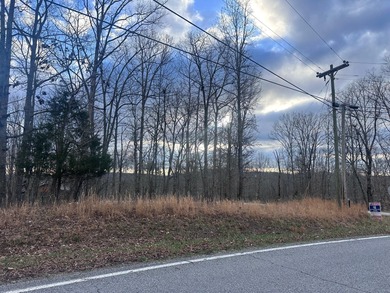 Lake Access & no HOA fees! Over 3/4 acre and close to marinas - photo 6
