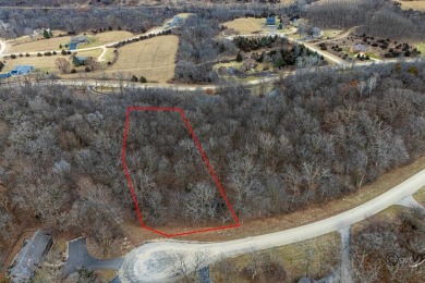 Lake Lot For Sale in Galena, Illinois