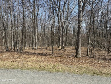 Lake Lot For Sale in Hawley, Pennsylvania