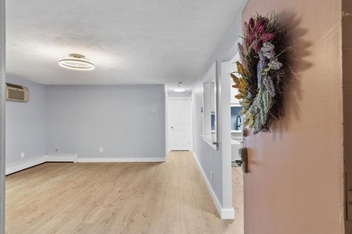 Stunning 2026 Renovation ~ Kitchen, Bath, Lighting, Windows - photo 5