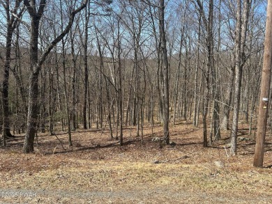 Lake Lot For Sale in Hawley, Pennsylvania