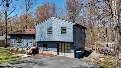Lake Home For Sale in Hawley, Pennsylvania