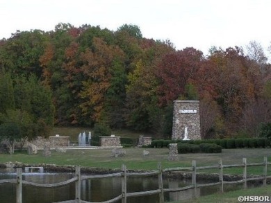 Several Lots combined to make this an acreage lot (Only one POA