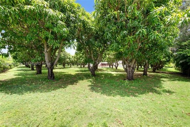 2.28 acre development opportunity east of US-1 next to Palmetto - photo 14