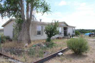 San Juan River Home For Sale in Bloomfield New Mexico