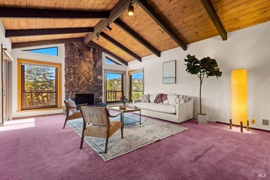 Diamond in the rough in the highly desirable Marin Country Club - photo 7