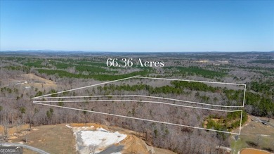Lake Acreage For Sale in Dallas, Georgia