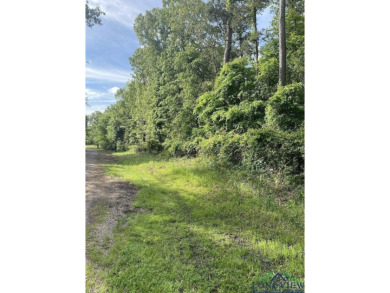 Lake Lot For Sale in Gilmer, Texas