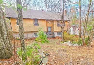 Lake Home For Sale in Lackawaxen, Pennsylvania