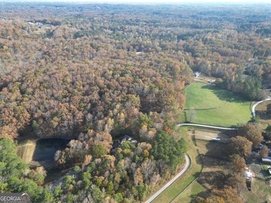 Amazing opportunity to own a 27+ acre equestrian/gentleman farm - photo 4
