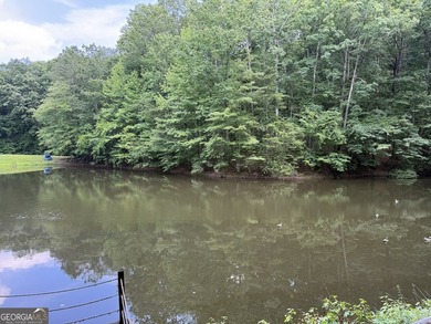 Amazing opportunity to own a 27+ acre equestrian/gentleman farm - photo 10