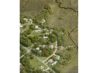 Homosassa River Lot For Sale in Homosassa Florida