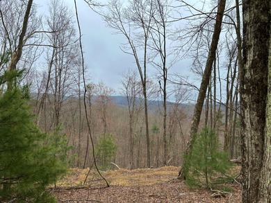 Nestled across Monroe and Greenbrier Counties, this stunning - photo 2