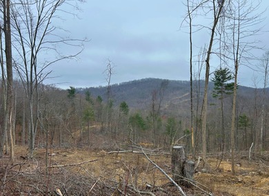 Nestled across Monroe and Greenbrier Counties, this stunning - photo 3