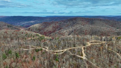 Nestled across Monroe and Greenbrier Counties, this stunning - photo 6