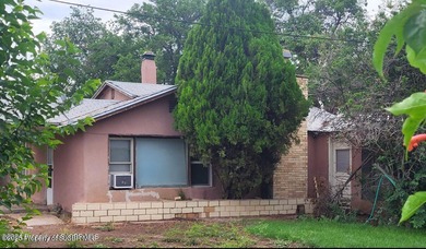 Animas River Home For Sale in Farmington New Mexico