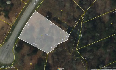 Beautiful laying Lot on the interior of the first phase of docks - Lake Lot For Sale in Harriman, Tennessee