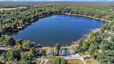 Sand Lake - Newaygo County Home For Sale in Grant Michigan