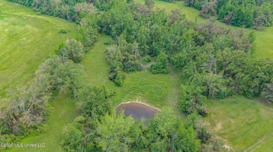 Discover an exceptional 169.9+/- acre tract just minutes from - photo 6
