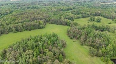 Discover an exceptional 169.9+/- acre tract just minutes from - photo 10
