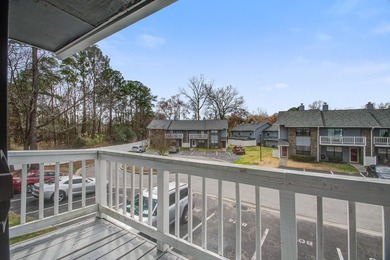 Move in ready two bedroom townhouse featuring a cozy fireplace - photo 25