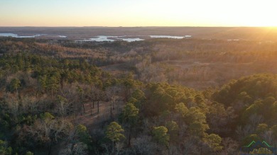 Perched high above the treetops, this stunning 31.46-acre - Lake Acreage For Sale in Lone Star, Texas