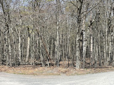 (private lake, pond, coastal) Lot For Sale in Greentown Pennsylvania