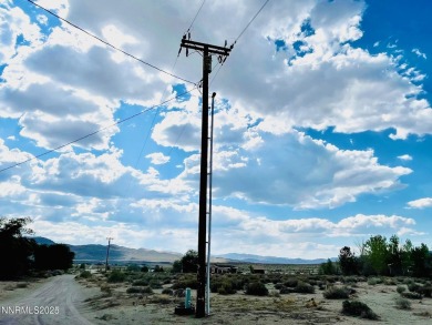 Lake Lahontan Acreage For Sale in Silver Springs Nevada