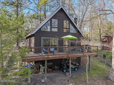 Lake Home For Sale in Lakeville, Pennsylvania