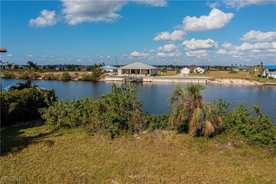 Don't miss out on this beautiful DIRET GULF ACCES LOT with 200+ - photo 12