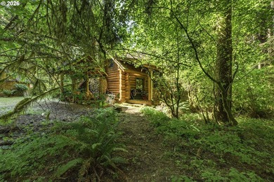 Experience a unique log cabin getaway at Fishhawk Lake, built - photo 28