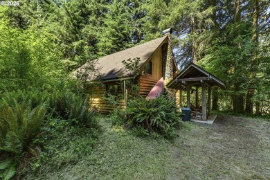 Experience a unique log cabin getaway at Fishhawk Lake, built - photo 29