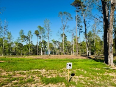 Fabulous views from this interior lot! - Lake Lot For Sale in Hemphill, Texas