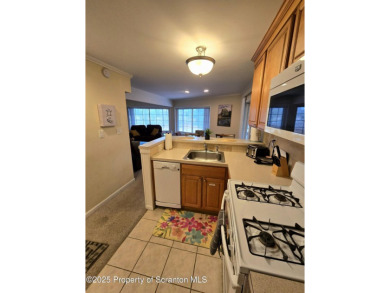 Lake Home For Sale in Blakeslee, Pennsylvania