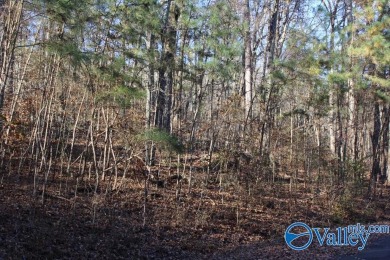 Lake Guntersville Acreage For Sale in Guntersville Alabama