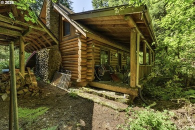 Experience a unique log cabin getaway at Fishhawk Lake, built - photo 31