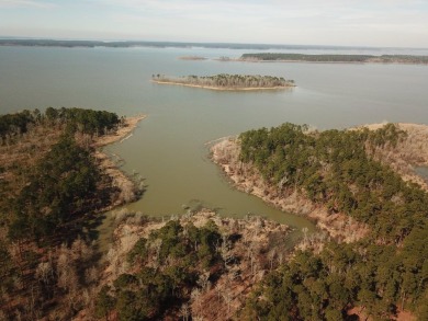 Lake Sam Rayburn  Lot For Sale in Brookeland Texas