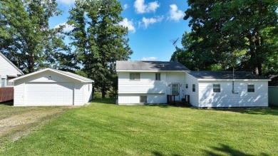 Lake Home For Sale in Beaverton, Michigan