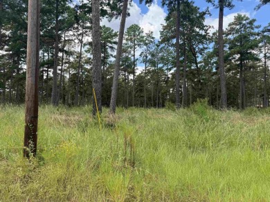 Lake Sam Rayburn  Lot For Sale in Brookeland Texas