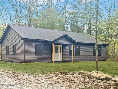Lake Home For Sale in Shohola, Pennsylvania