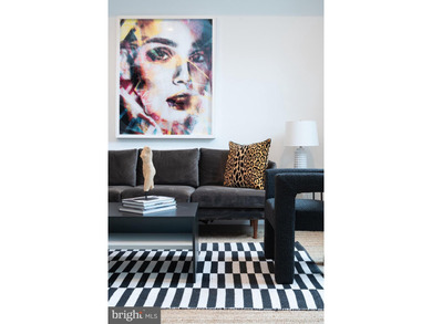 Introducing the Sansom 5 - a luxurious enclave in Rittenhouse - photo 22
