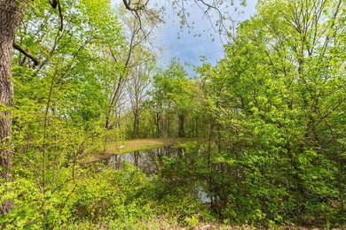 Turn-key investment opportunity near the heart of St. Joe! This - photo 30