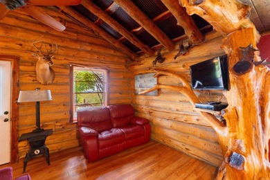 Turn-key investment opportunity near the heart of St. Joe! This - photo 33