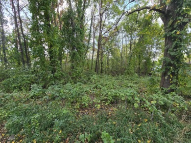 Lake Lot For Sale in Delton, Michigan