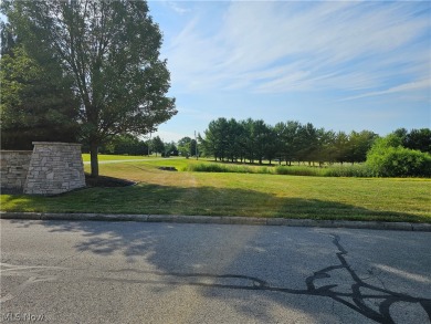 Lake Lot For Sale in Poland, Ohio