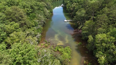 Discover your slice of Smith Lake paradise with this gently - Lake Lot For Sale in Double Springs, Alabama