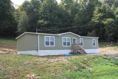 Lake Home For Sale in Upperglade, West Virginia