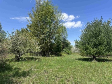 Enjoy a peaceful corner of the North Country with this 5+ acre - photo 2